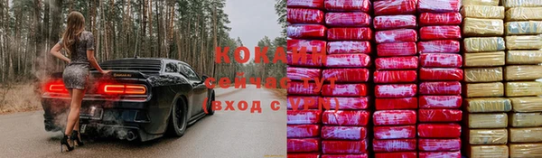 экстази Богданович