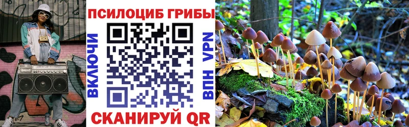 Псилоцибиновые грибы мицелий  Кинель 